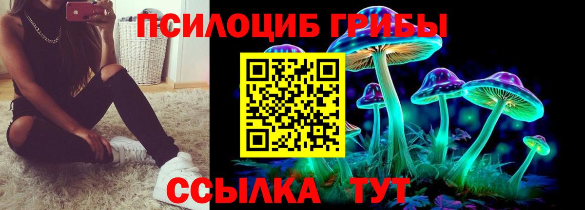 Псилоцибиновые грибы Cubensis Нягань